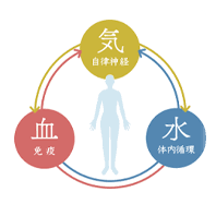 ホルモンバランス